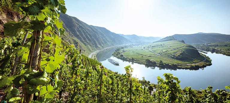 Spirit of the Rhine sailing past vineyards
